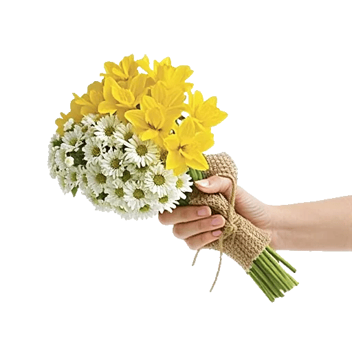 Blossom Harmony Display