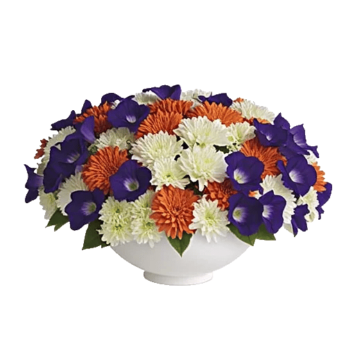 Petal Radiance Bliss
