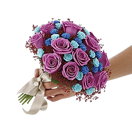 Radiant Rose Symphony