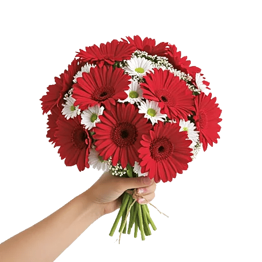 Petal Harmony Bliss