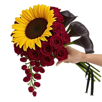 Radiant Bloom Cascade