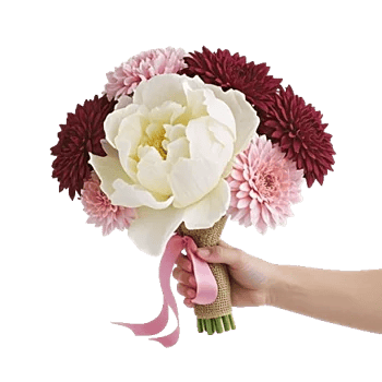 Peony Petal Harmony