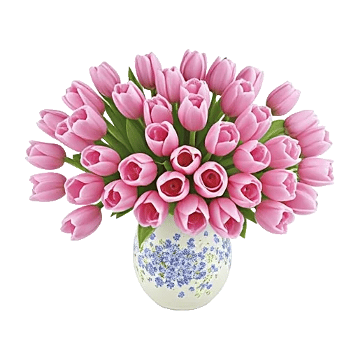 Velvet Tulip Display