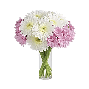 Radiant Bloom Cascade