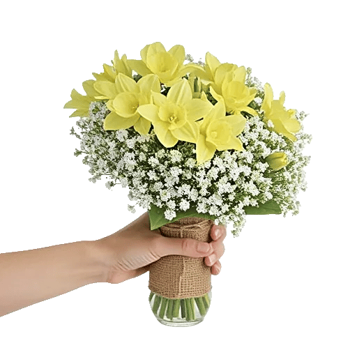 Dewy Morning Blossoms