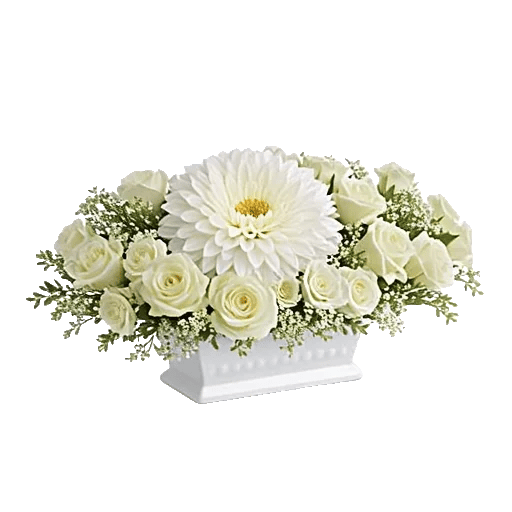 Delicate Petal Cascade