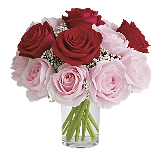 Crimson Rose Elegance