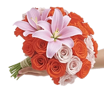 Blushing Rose Symphony