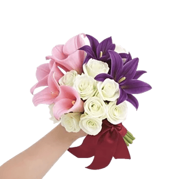 Elegant Calla Lilies