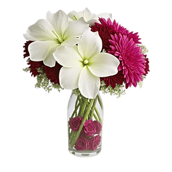 Ivory Blossom Radiance