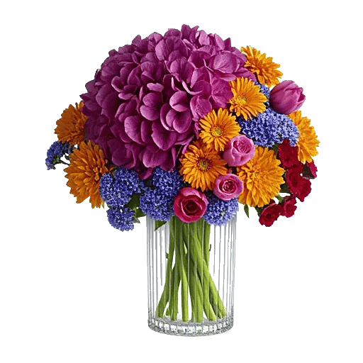 Petal Radiance Bliss
