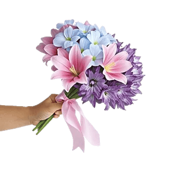 Dewy Morning Blossoms