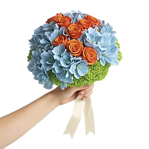 Serene Petal Harmony