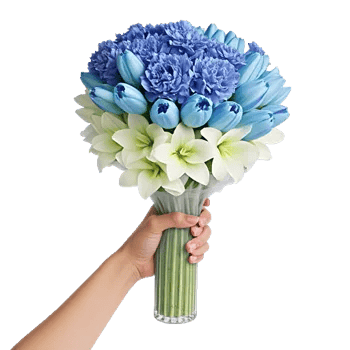 Blossom Petal Serenity