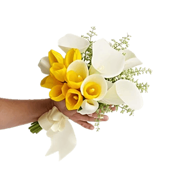 Elegant Calla Lilies