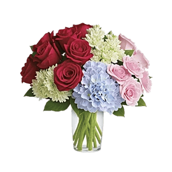 Radiant Rose Symphony