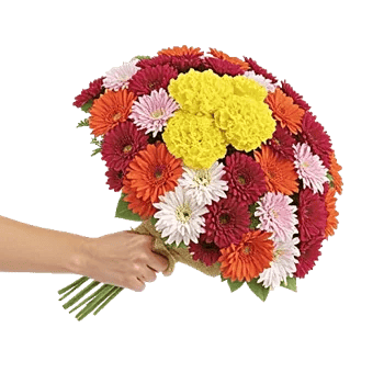 Blossom Harmony Display