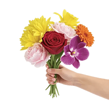 Petal Grace Harmony
