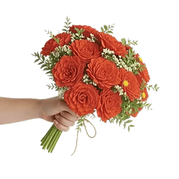 Petal Harmony Bliss