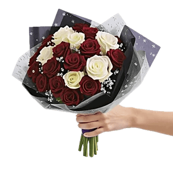 Crimson Rose Elegance