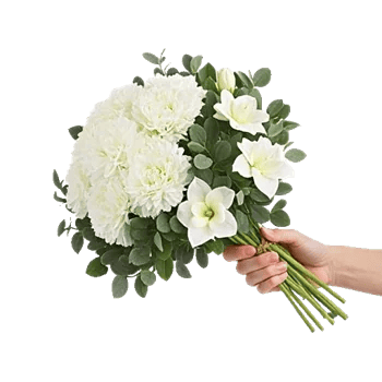 Ivory Garden Grace