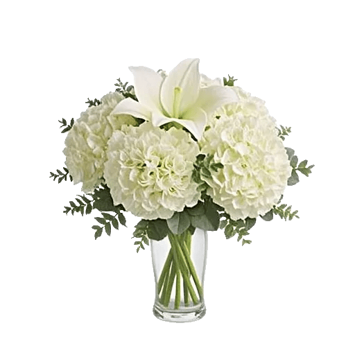 Graceful Lily Display