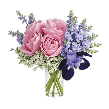 Petal Radiance Bliss