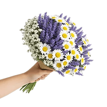 Pastel Blossom Grace