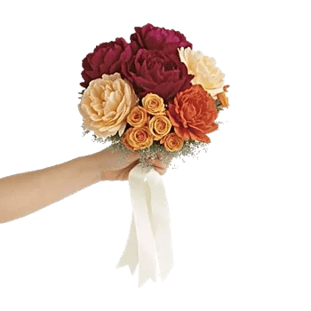 Peony Petal Harmony