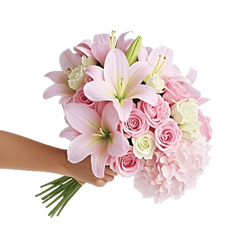 Blossom Harmony Display