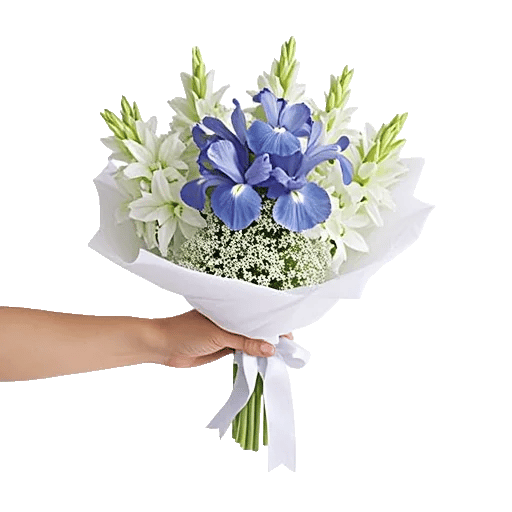 Ivory Blossom Radiance