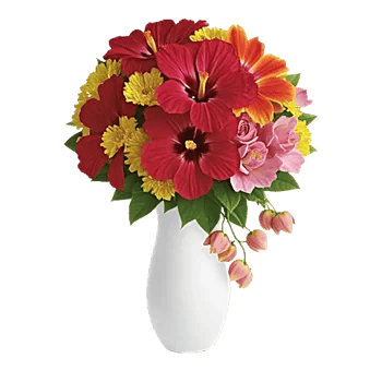 Crimson Blossom Harmony