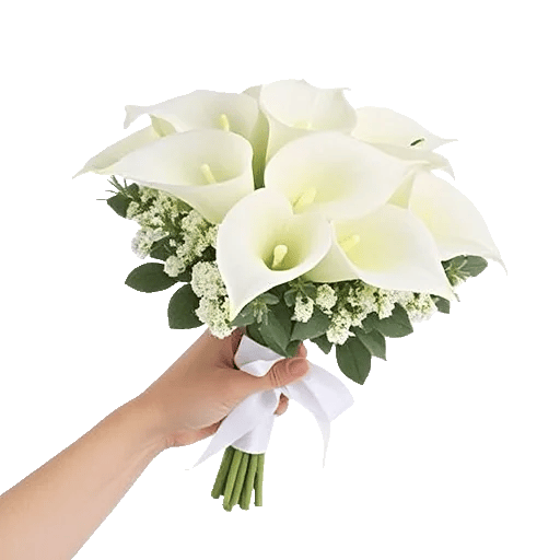 Elegant Calla Lilies