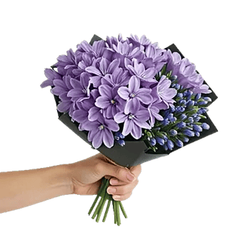 Pastel Blossom Grace