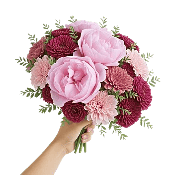Peony Petal Harmony
