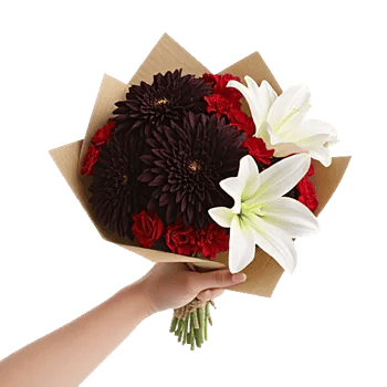 Deep Red Foliage
