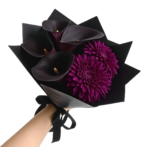 Elegant Calla Lilies