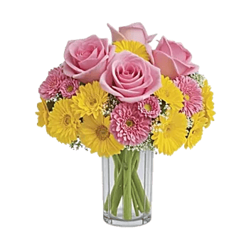 Pink Pastel Roses