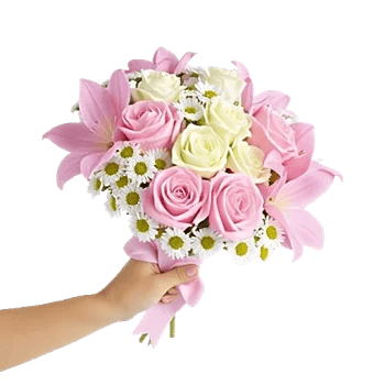 Pink Pastel Roses