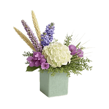 Ivory Blossom Radiance