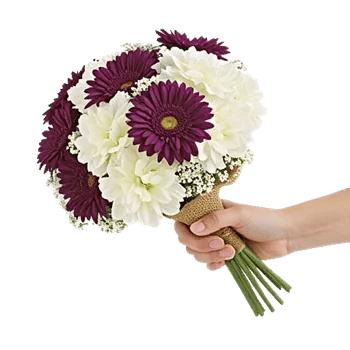 Blossom Harmony Display