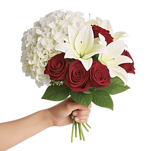 Serene Petal Harmony