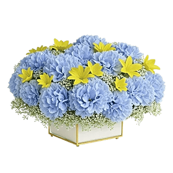 Blooming Serenity Display