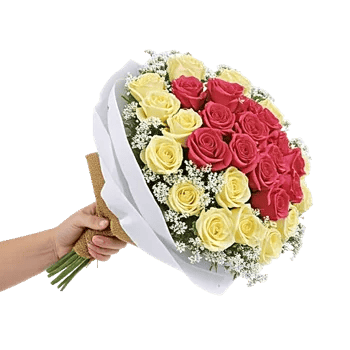 Blushing Rose Symphony