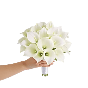 Graceful Lily Display