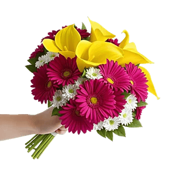 Elegant Calla Lilies