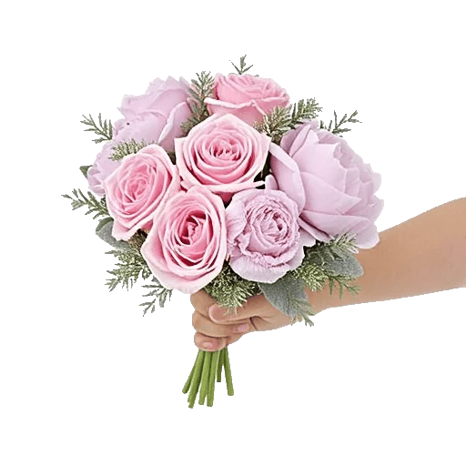 Pastel Pink Roses