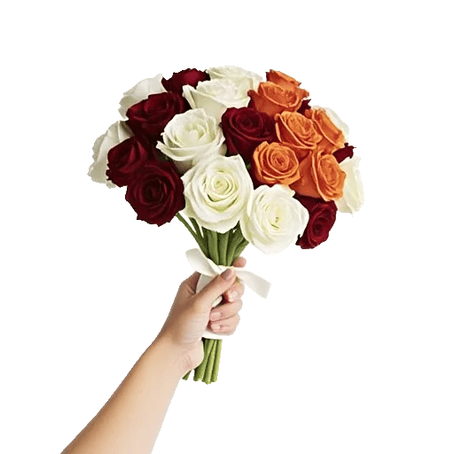 Blushing Rose Symphony