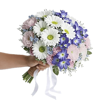 Blossom Petal Serenity