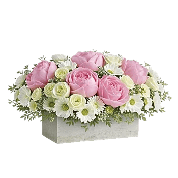 Delicate Petal Cascade